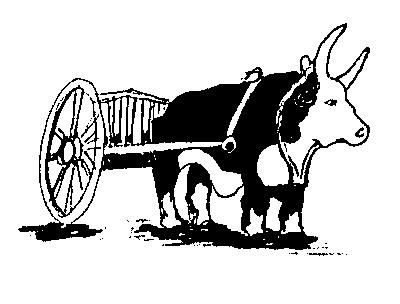 The 2nd Annual Ox